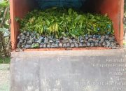 Temukan Dua Kelompok Tani Belum Terima Bantuan Penuh, Inspektorat Sulbar Minta Penyaluran Dievaluasi