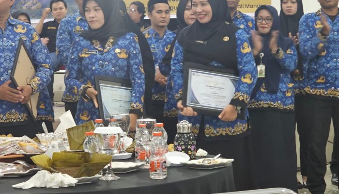 ASN RSUD Hajjah Andi Depu Raih Peringkat ke-6 Role Model Terbaik Tingkat Kabupaten Polewali Mandar