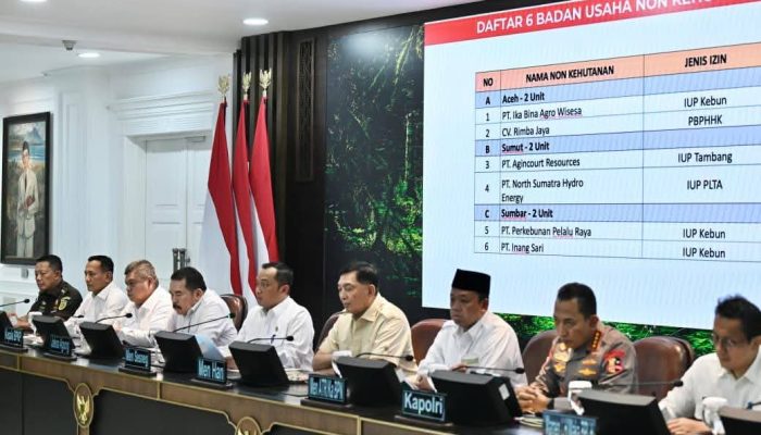 Tertibkan Kawasan Hutan, Pemerintah Cabut Izin 28 Perusahaan Pelanggar