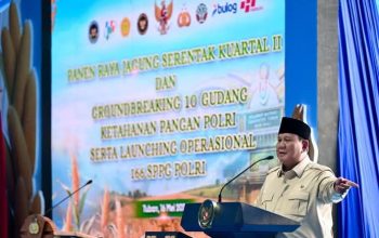 Prabowo Turun Langsung Panen Jagung di Tuban, Perkuat Ketahanan Pangan Nasional