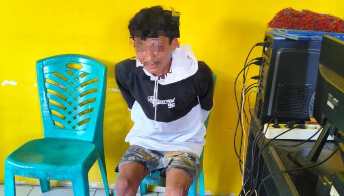 Diduga Curi Motor dan Ponsel Warga, Pria di Campalagian Diamankan Warga lalu Diserahkan ke Polisi