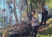 Polsubsektor Anreapi Gerak Cepat Padamkan Kebakaran Lahan di Desa Pappandangan