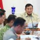 Presiden Prabowo Instruksikan Optimalisasi Pemadaman Karhutla di Enam Provinsi